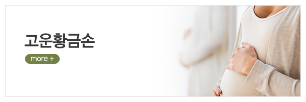 고운황금손_메인상단_고운황금손
