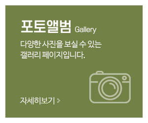 고운황금손_메인중간_포토앨범